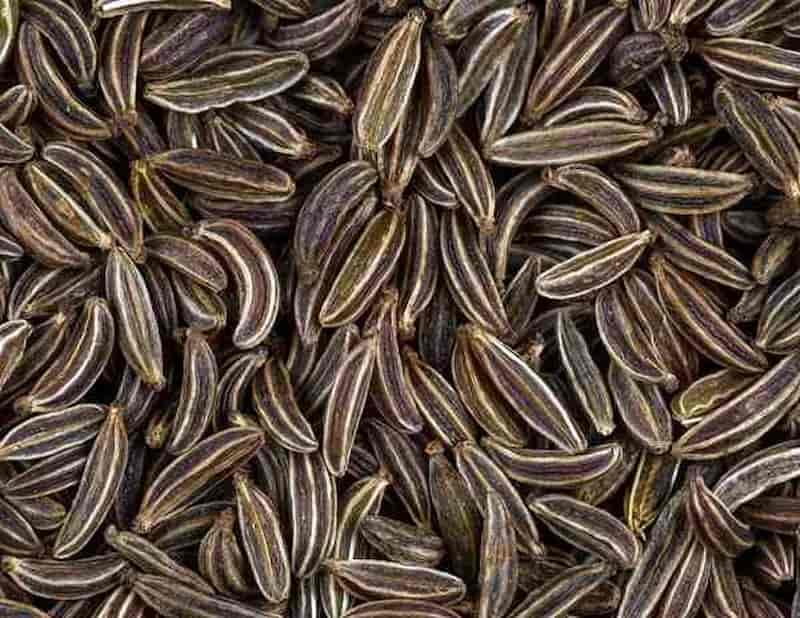 زیره سیاه کوهی با اسانس بالا و خلوص مناسب